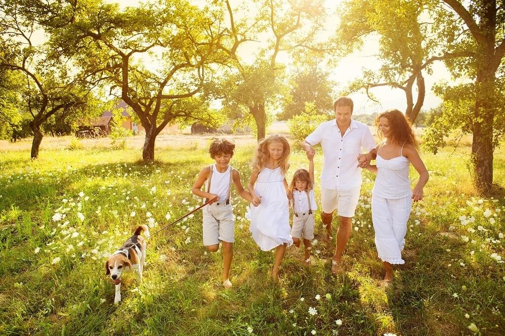 Happy family meditation videos 13
