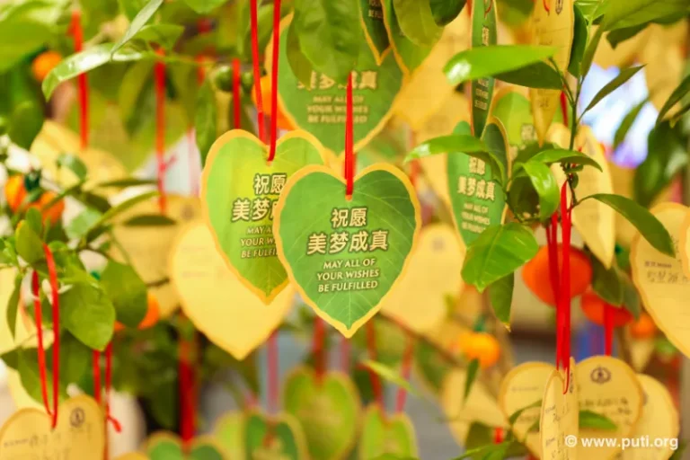 Wishing tree photos and wish cards filled with heartfelt hopes