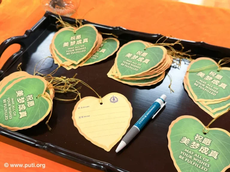 Writing wishes on wish cards