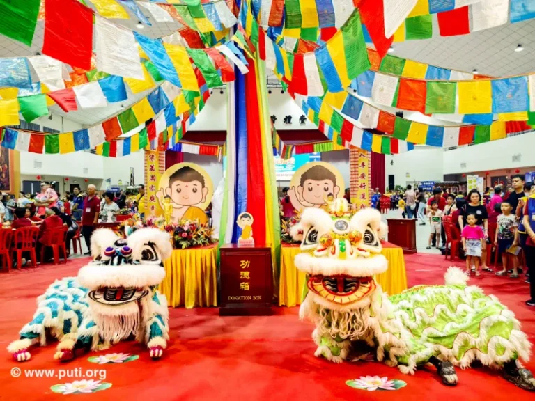 Vibrant Dragon and Lion Dance Performances